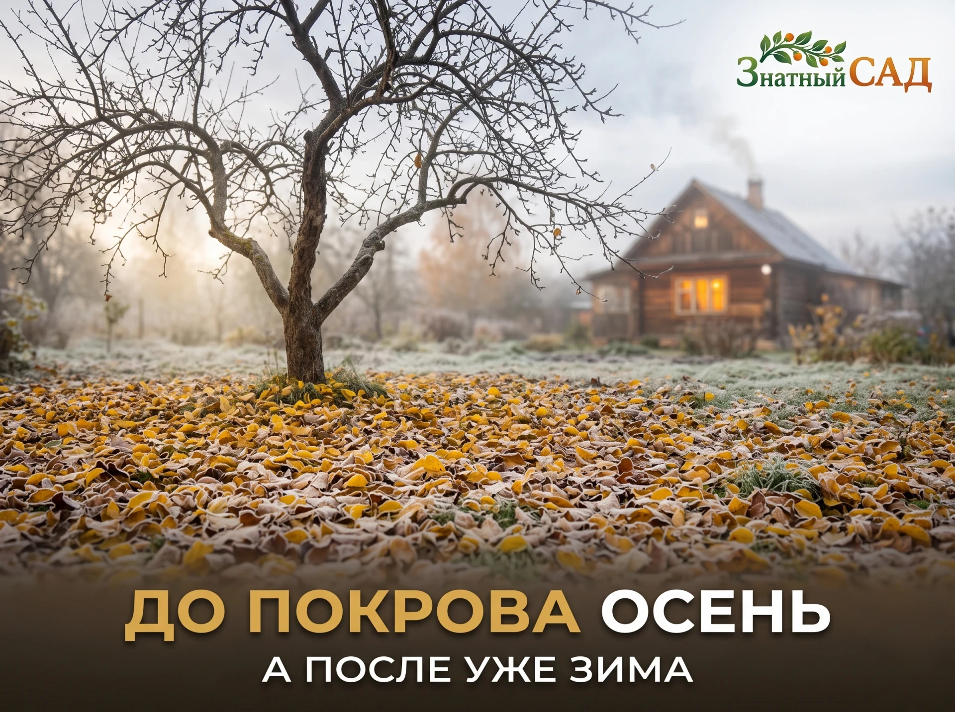 🍂 ПОКРОВ: ОТКУДА ПРИМЕТЫ ВООБЩЕ ВЗЯЛИСЬ