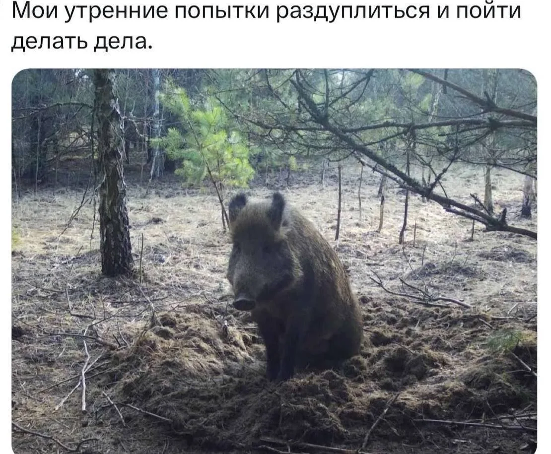 Расходимся по делам, дгузья)