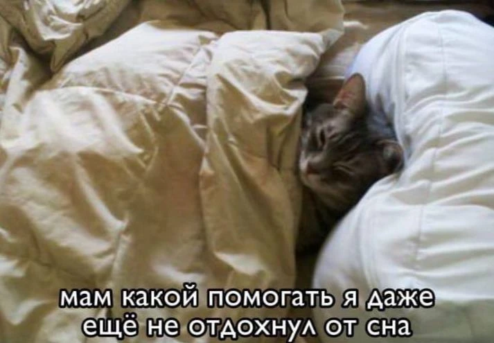 Мемы каждый день • Подписаться