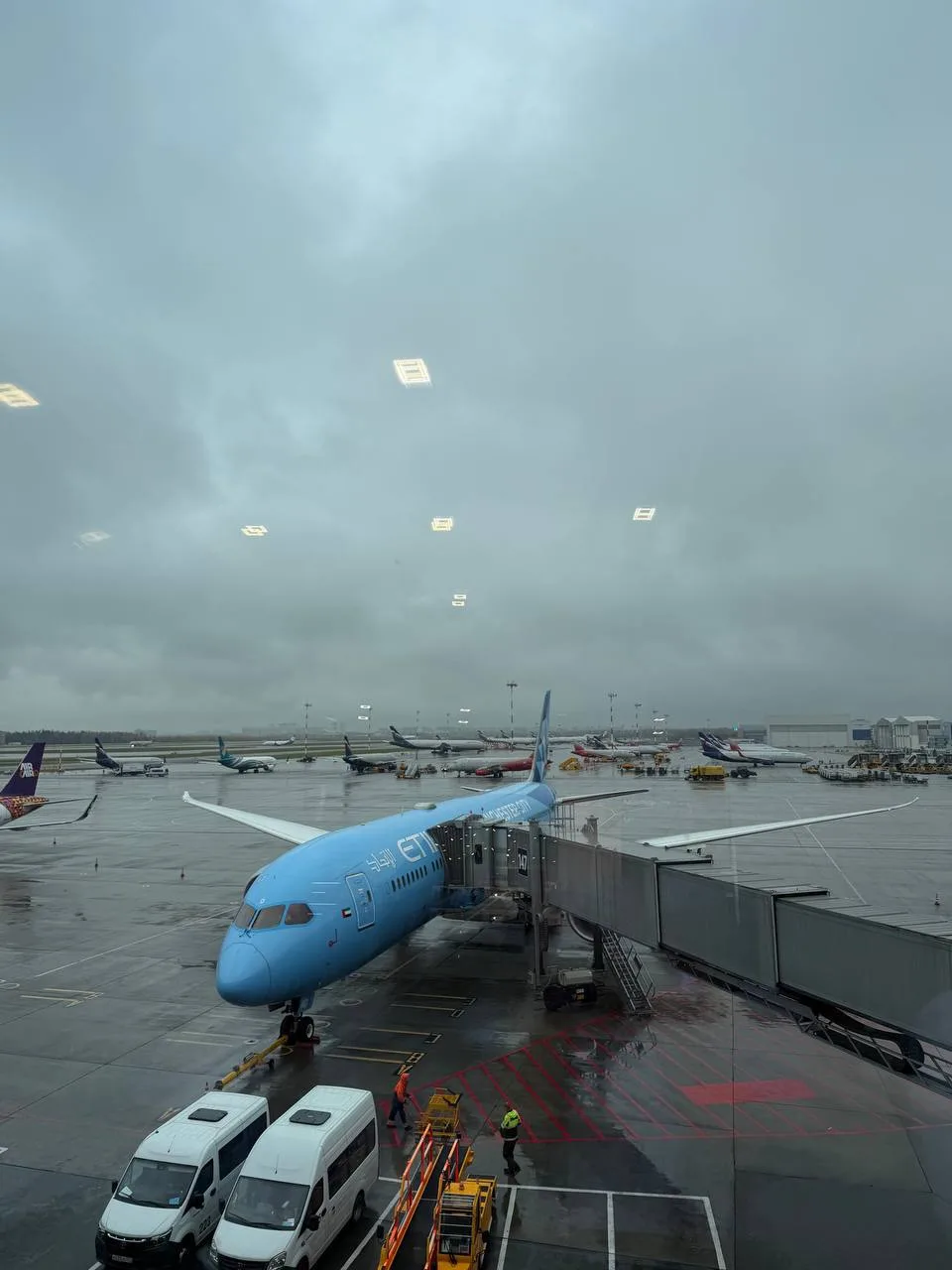 🇰🇪 Кения, день 1. Пока добираемся! ✈️