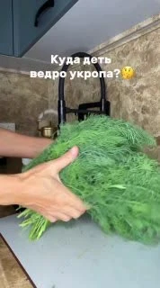Куда деть ведро укропа? Сделайте песто 🌿