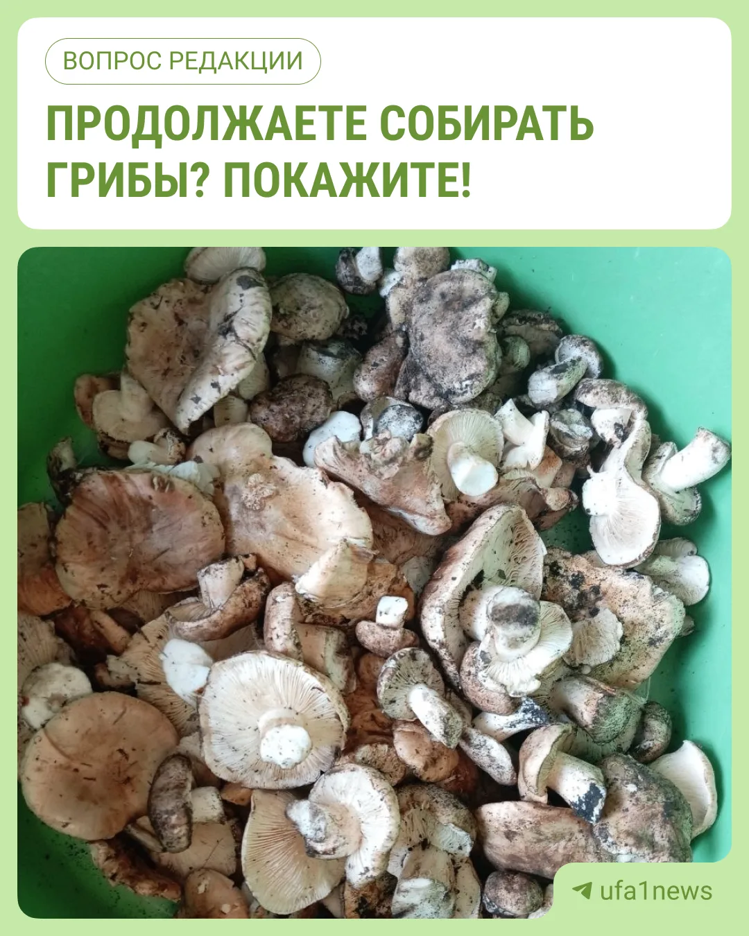 😳 Эти рядовки прислала нам читательница из Кармаскалинского района
