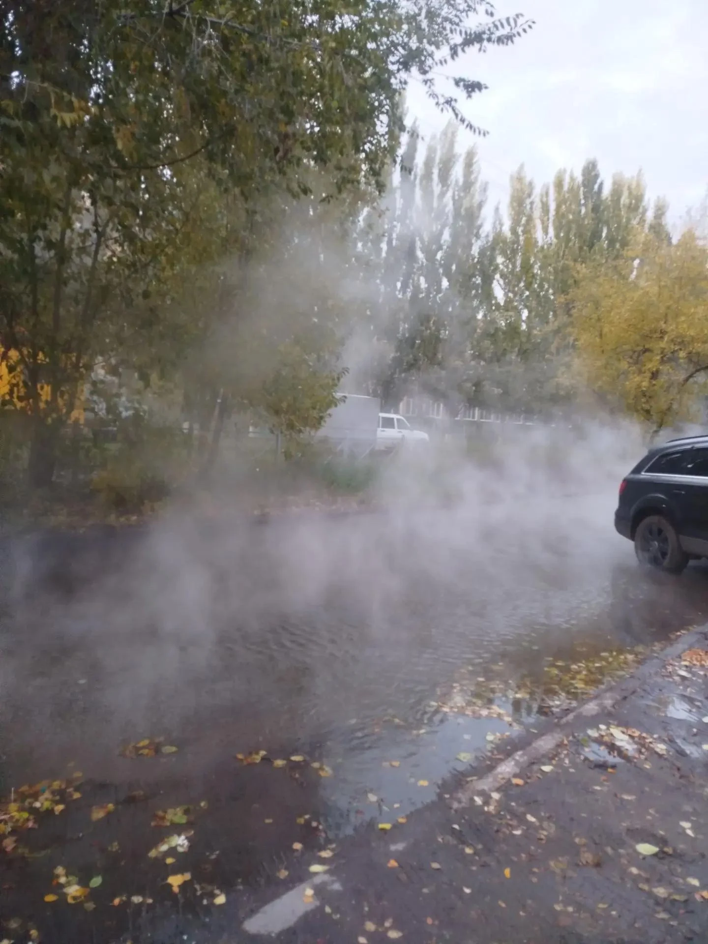 💦В Омске у левобережной гимназии прорвало трубу с кипятком.