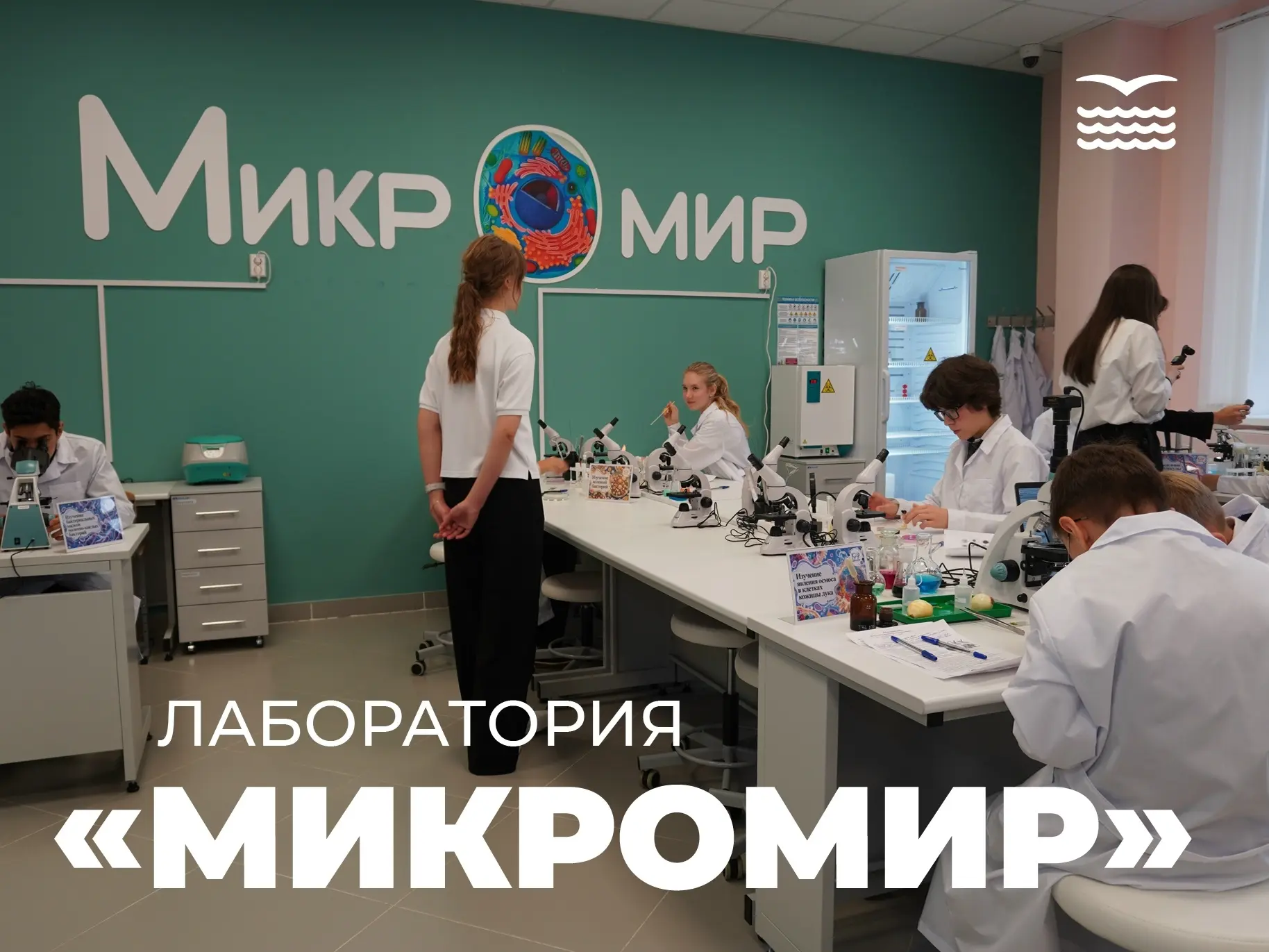 🔬 «МикроМир»: начала работу новая научная площадка для школьников Приморского