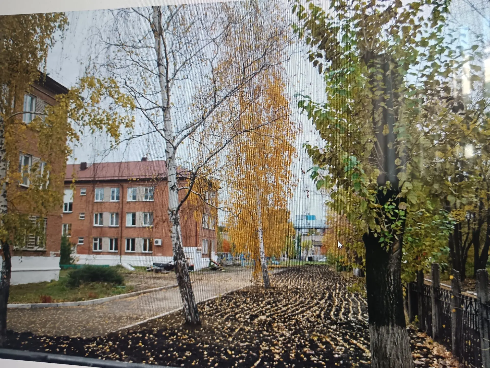 #СГК_Бийск