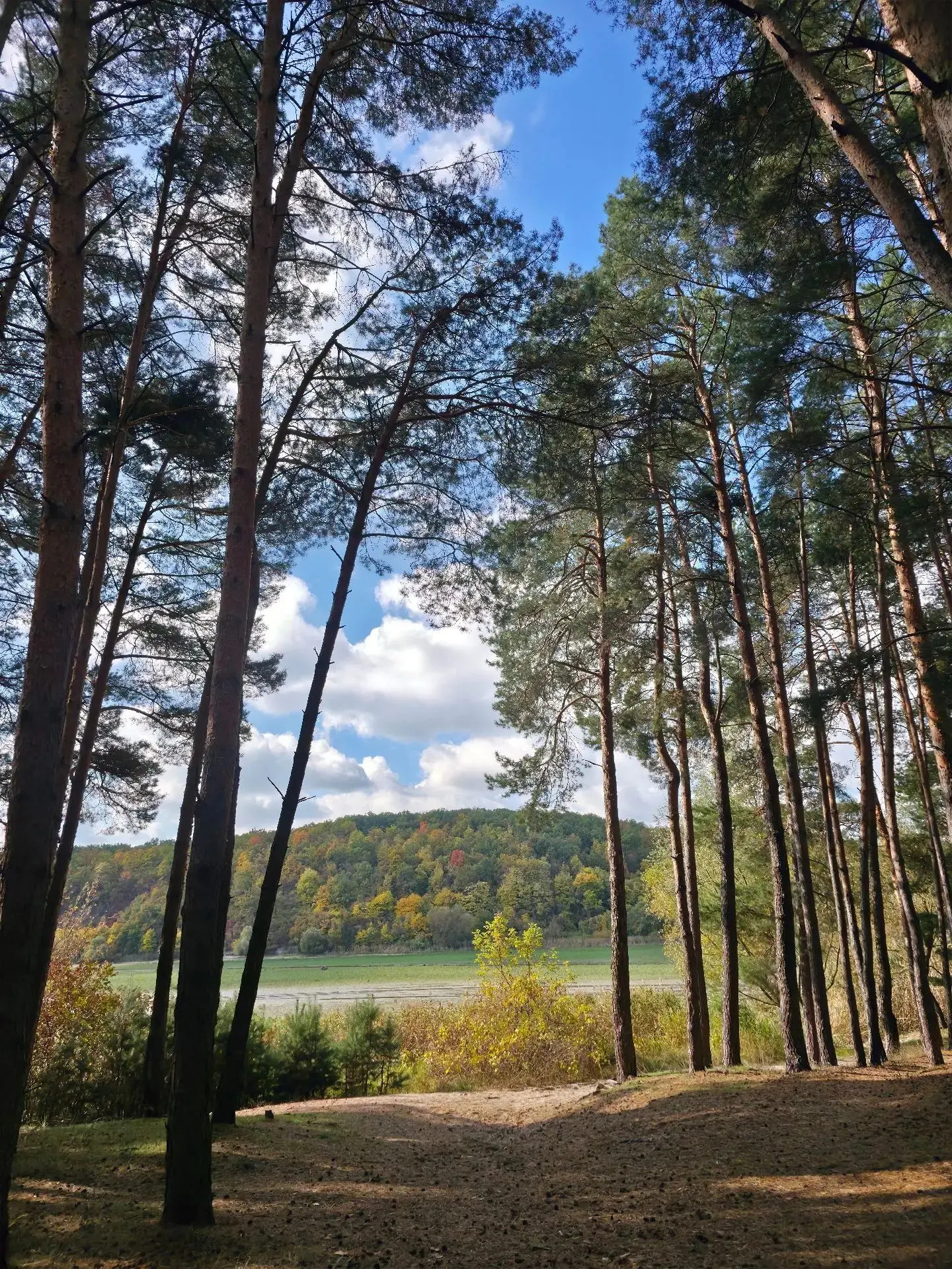 🍂 Октябрь – в объективе белгородских хранителей леса