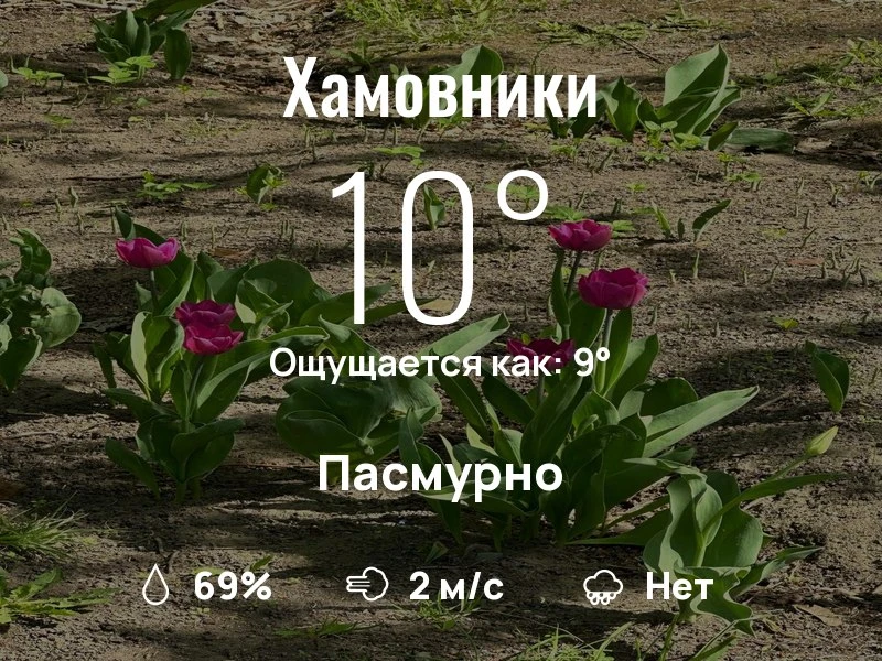 Что с погодой в Хамовниках?