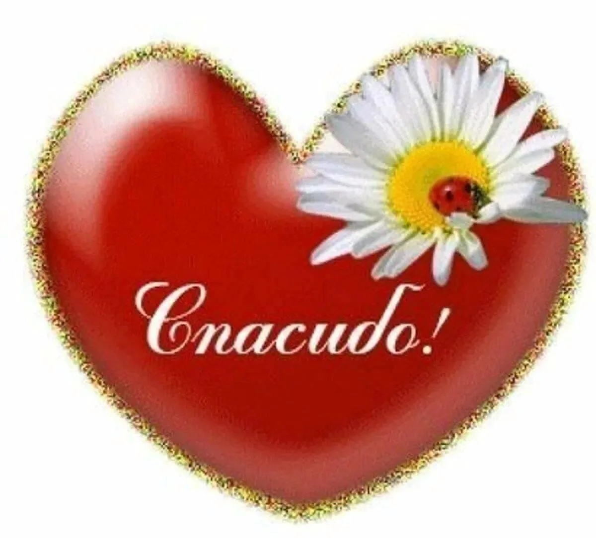 🌺 Мы говорим "Спасибо"