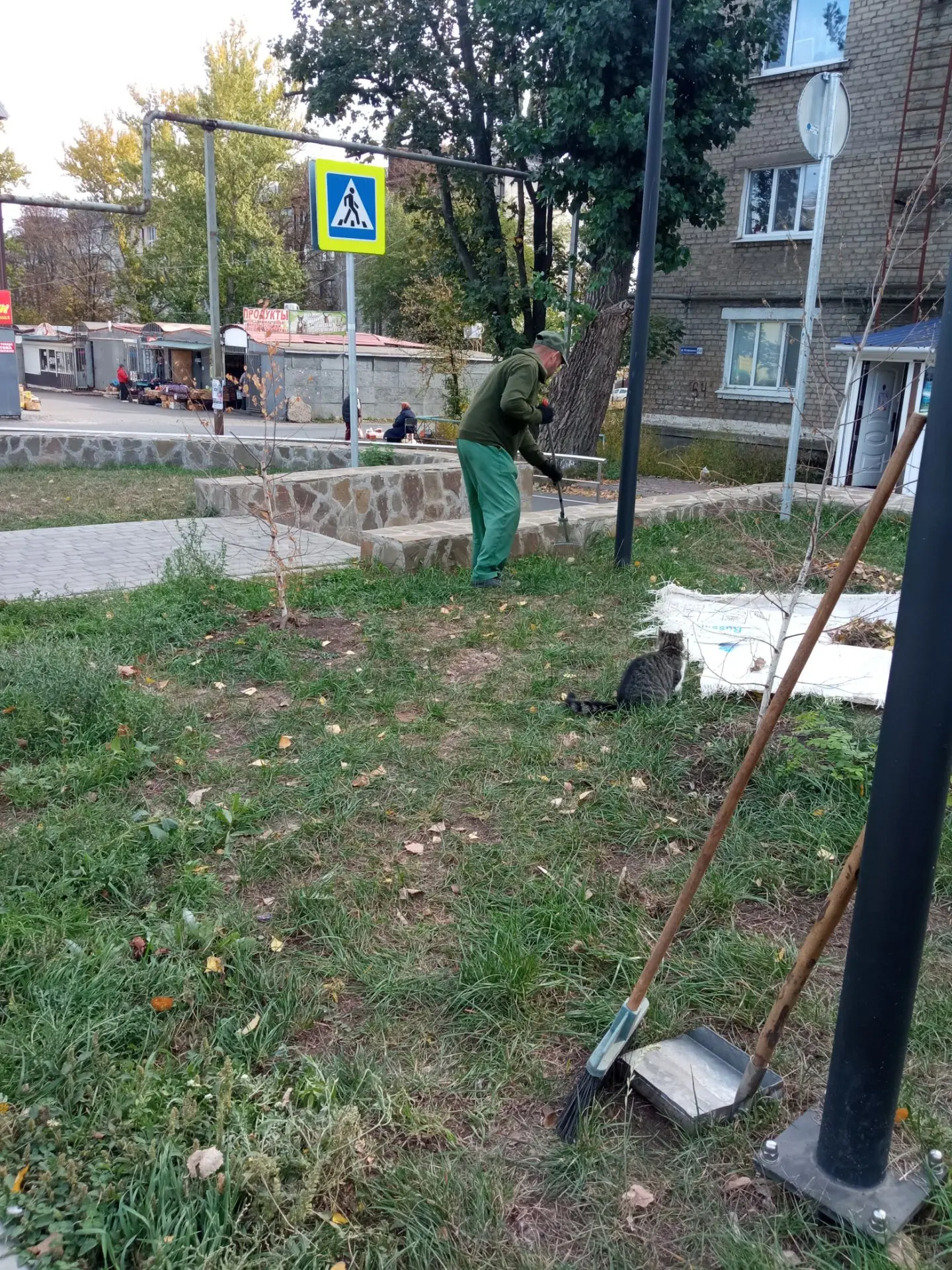 Чистка газонов и подметание дорожек от листвы скв.Шевченко