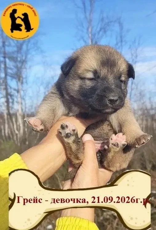 Салехард: