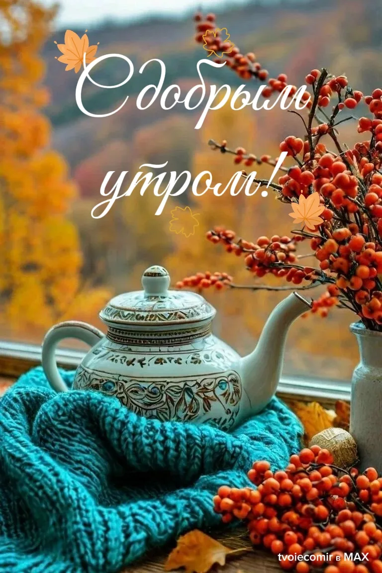 Доброе утро!🍁