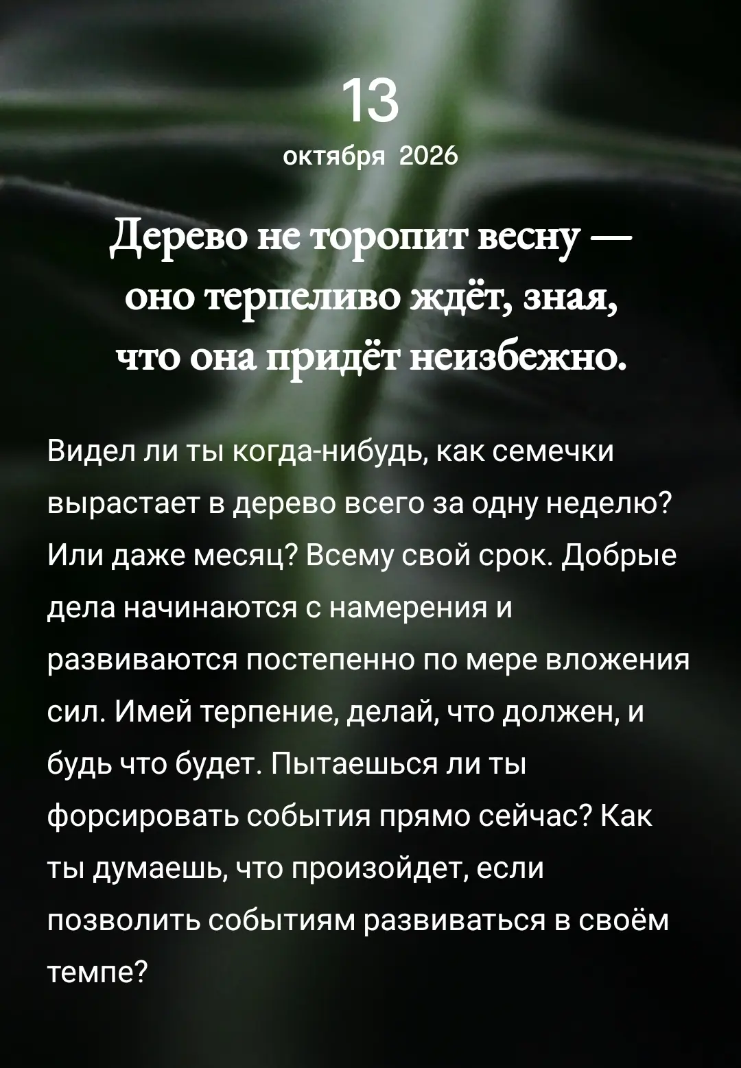 Послание 💌 дня
