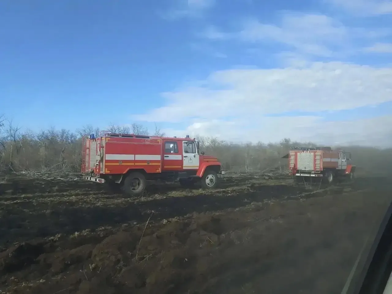 В Большеглушицком районе ликвидирован лесной пожар