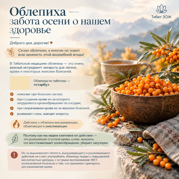 Облепиха - забота осени о нашем здоровье