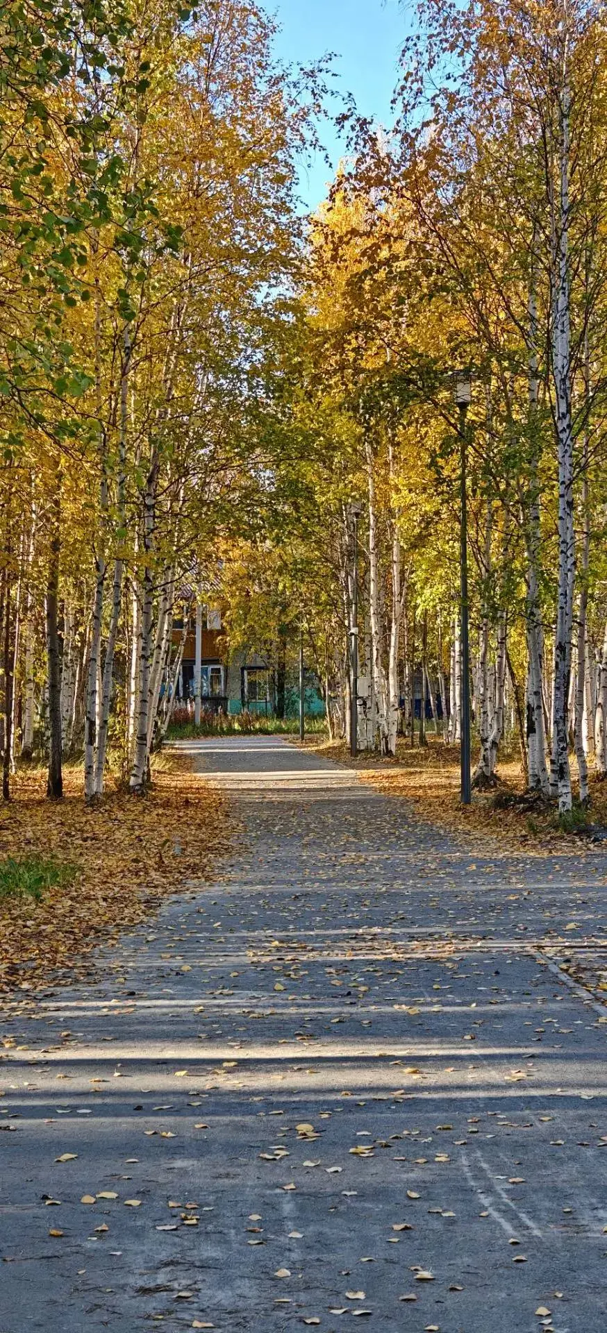 🍂 Золотая осень