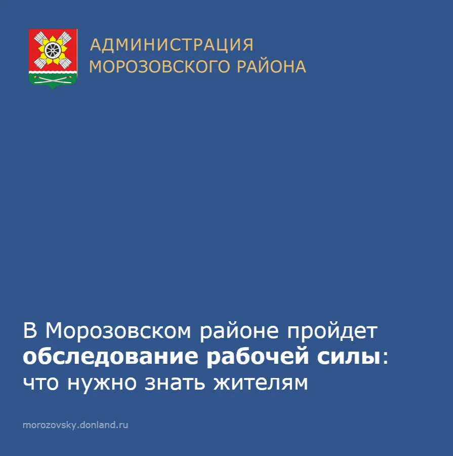 📊 Ростовстат проводит обследование рабочей силы