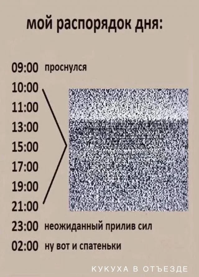 Кукуха в отъезде 🐦