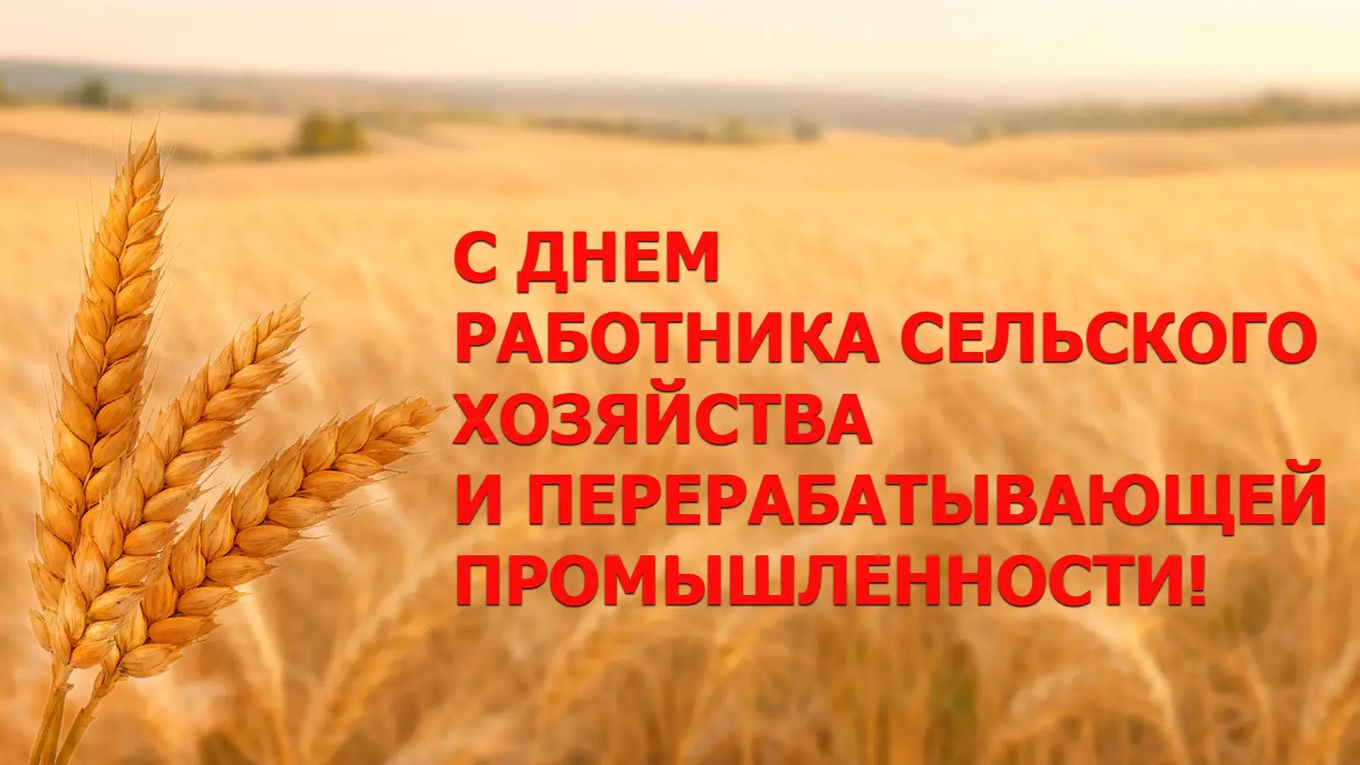 🌾 11 октября — День работников сельского хозяйства и перерабатывающей промышленности