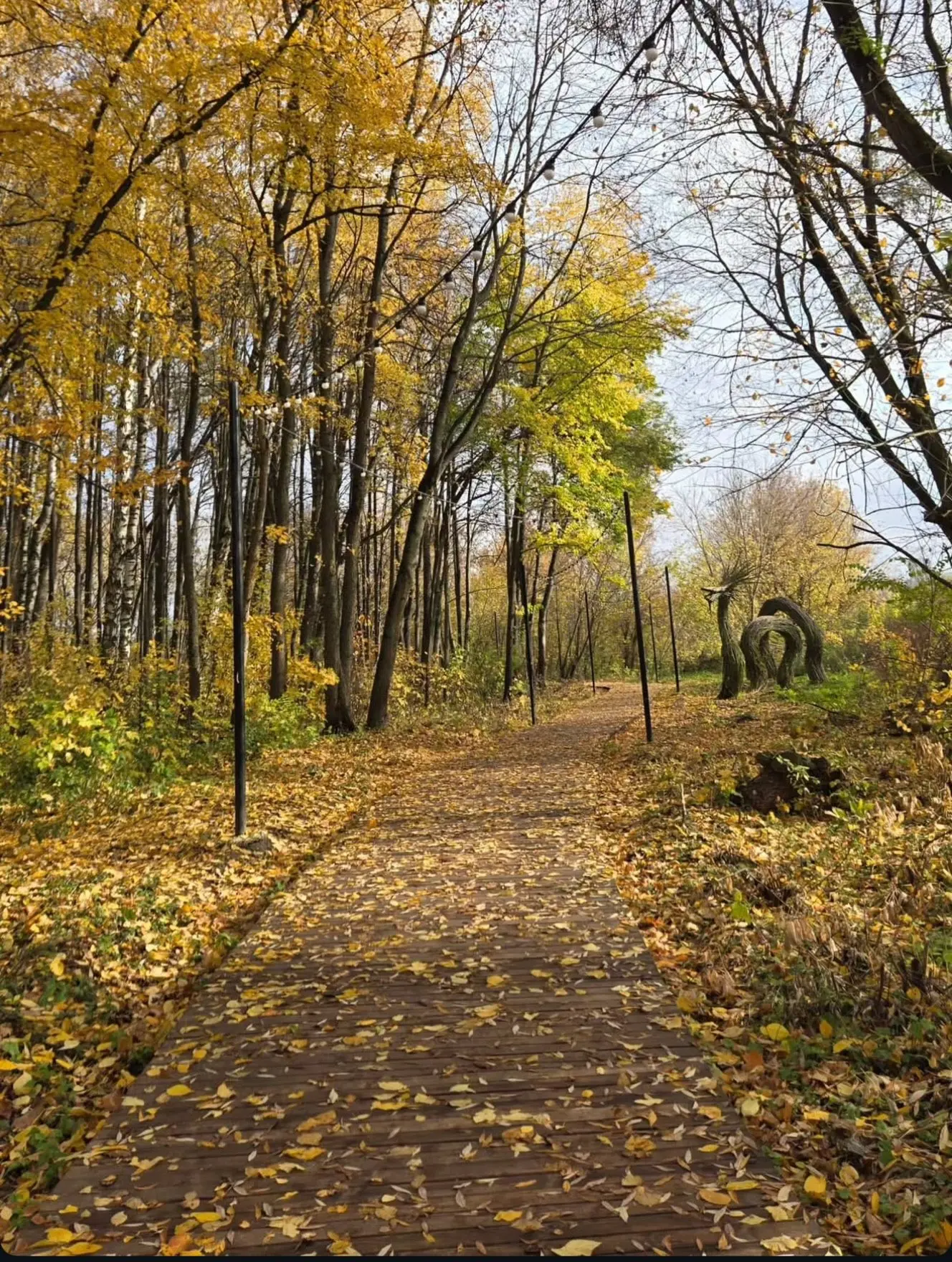 Осенний Лесопарк 🍁 от slavina_ya
