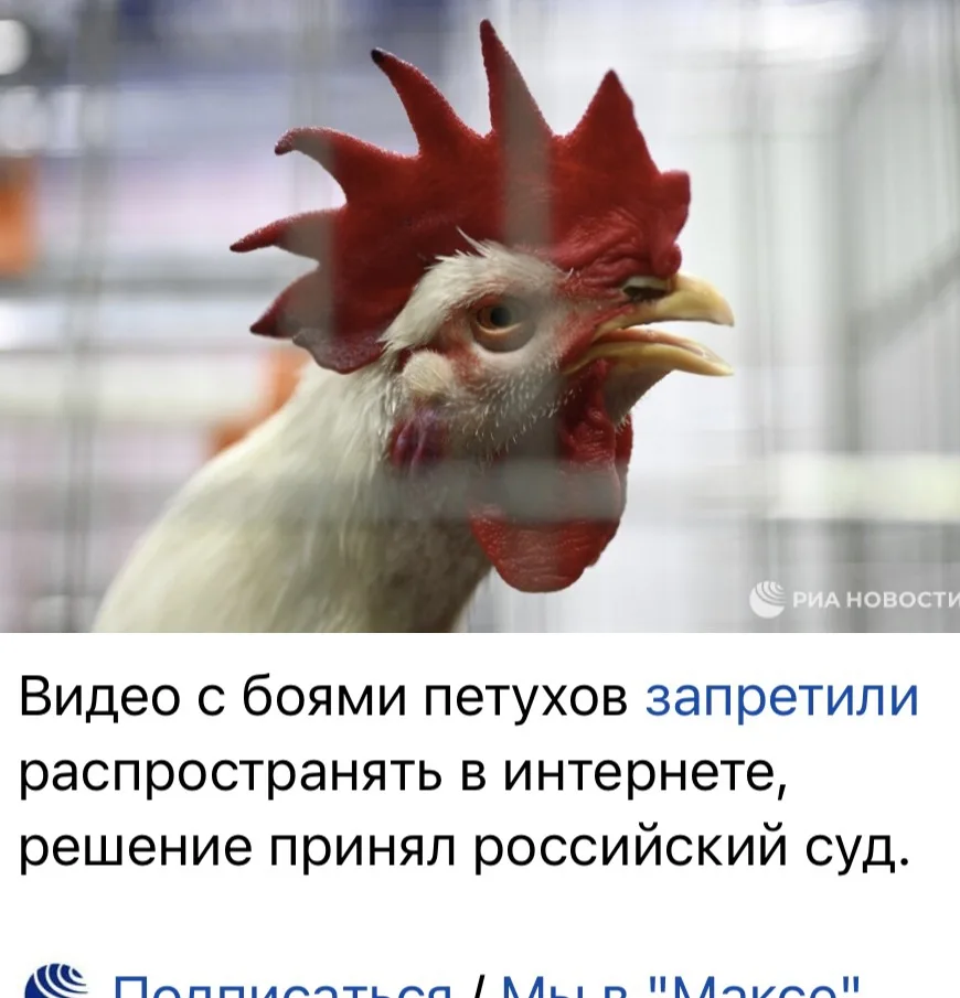 Получается, что больше нельзя выкладывать видео перестрелки ГУР и СБУ в Киев?