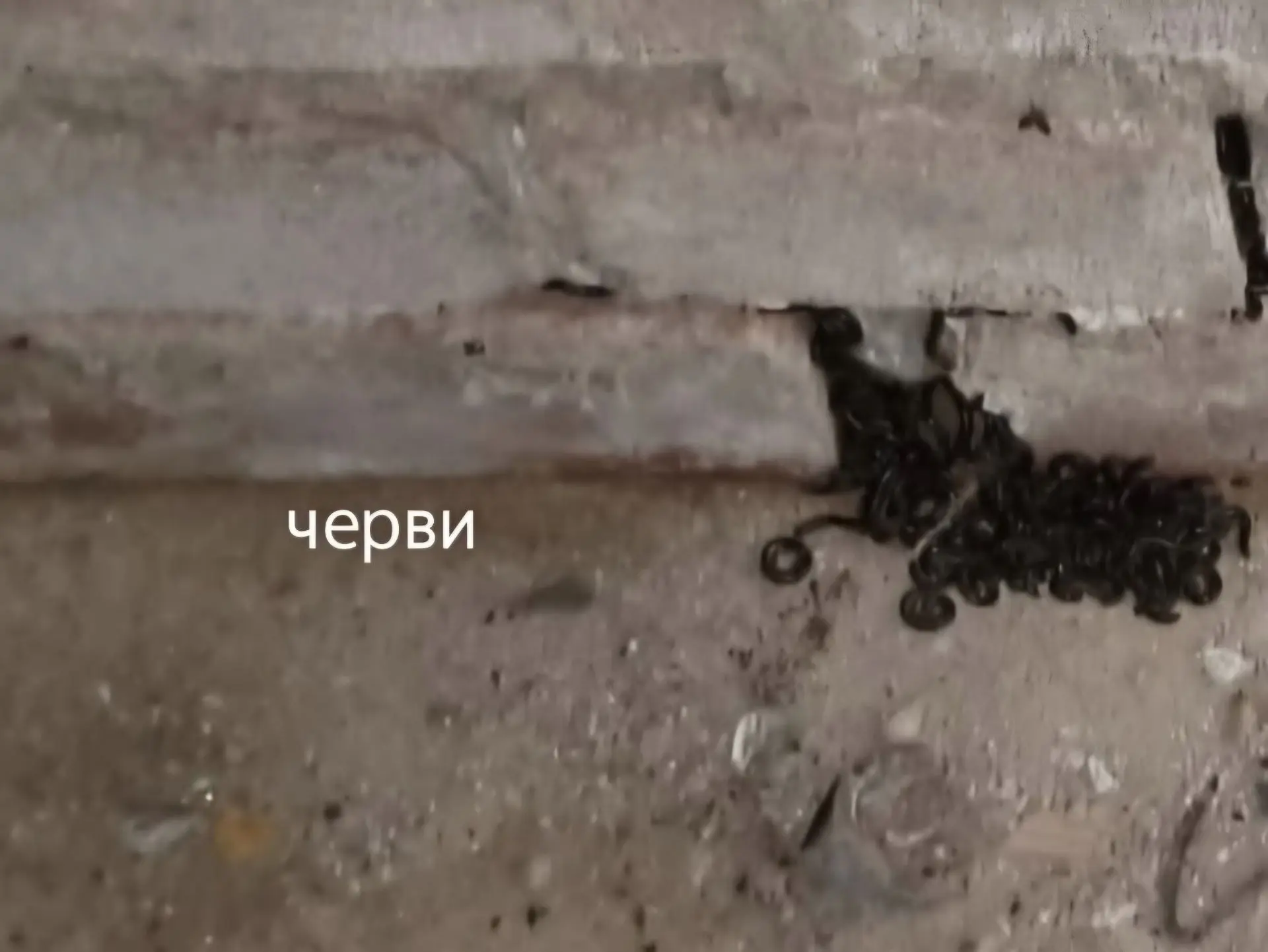 Подвал дома Кирова 12а.