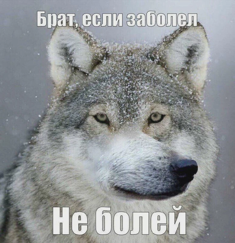 За неделю заболели почти 666 тысяч россиян