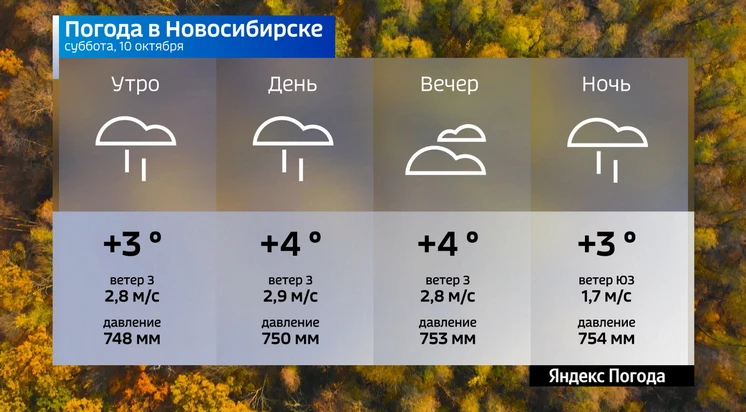 📌  Прогноз погоды на 10 октября 2026 года в Новосибирской области.