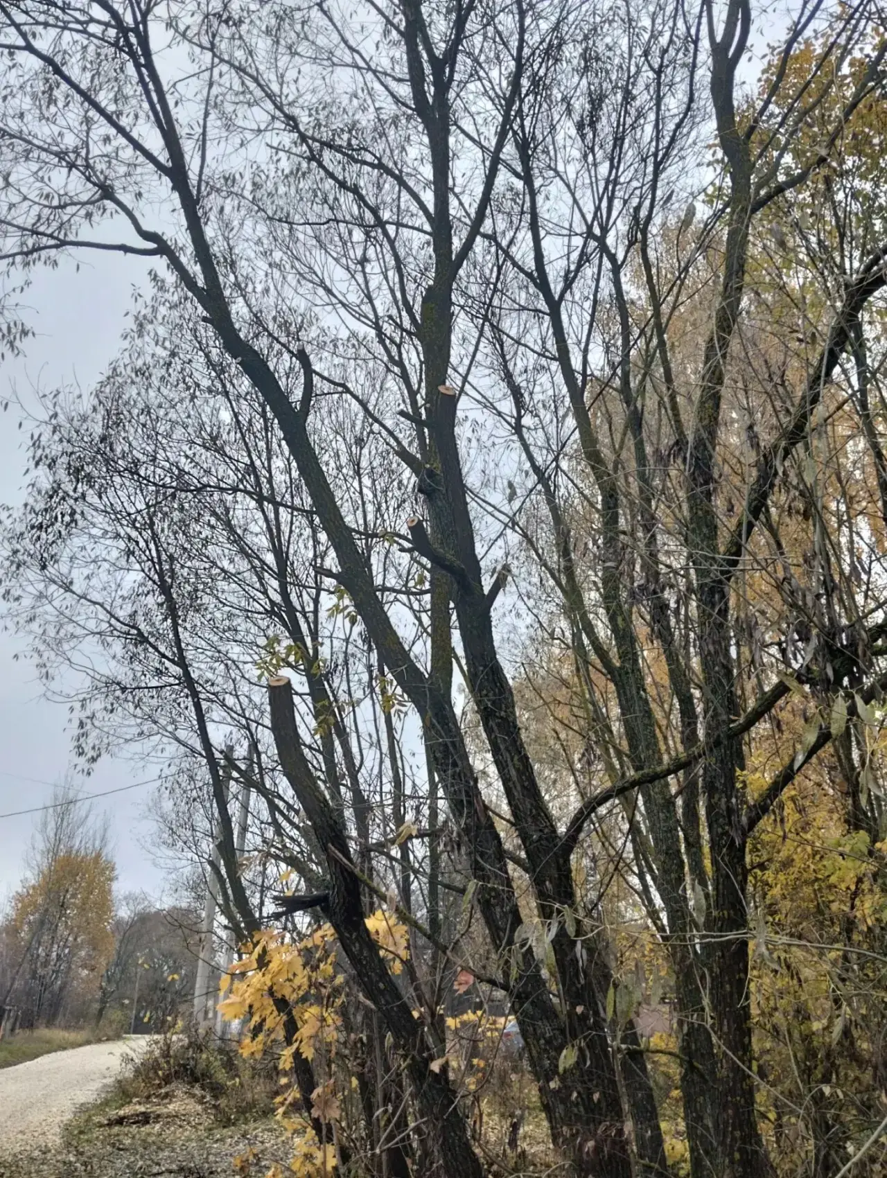 Выражаем благодарность нашему депутату округа Сивалову Алексею Анатольевичу и сотрудник...