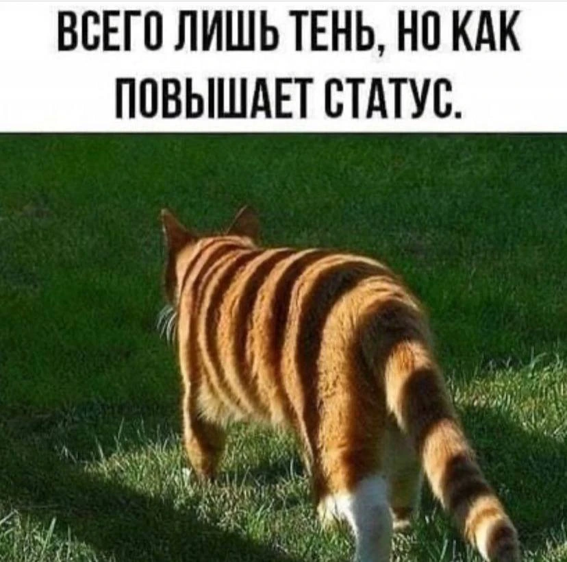Пчёлка