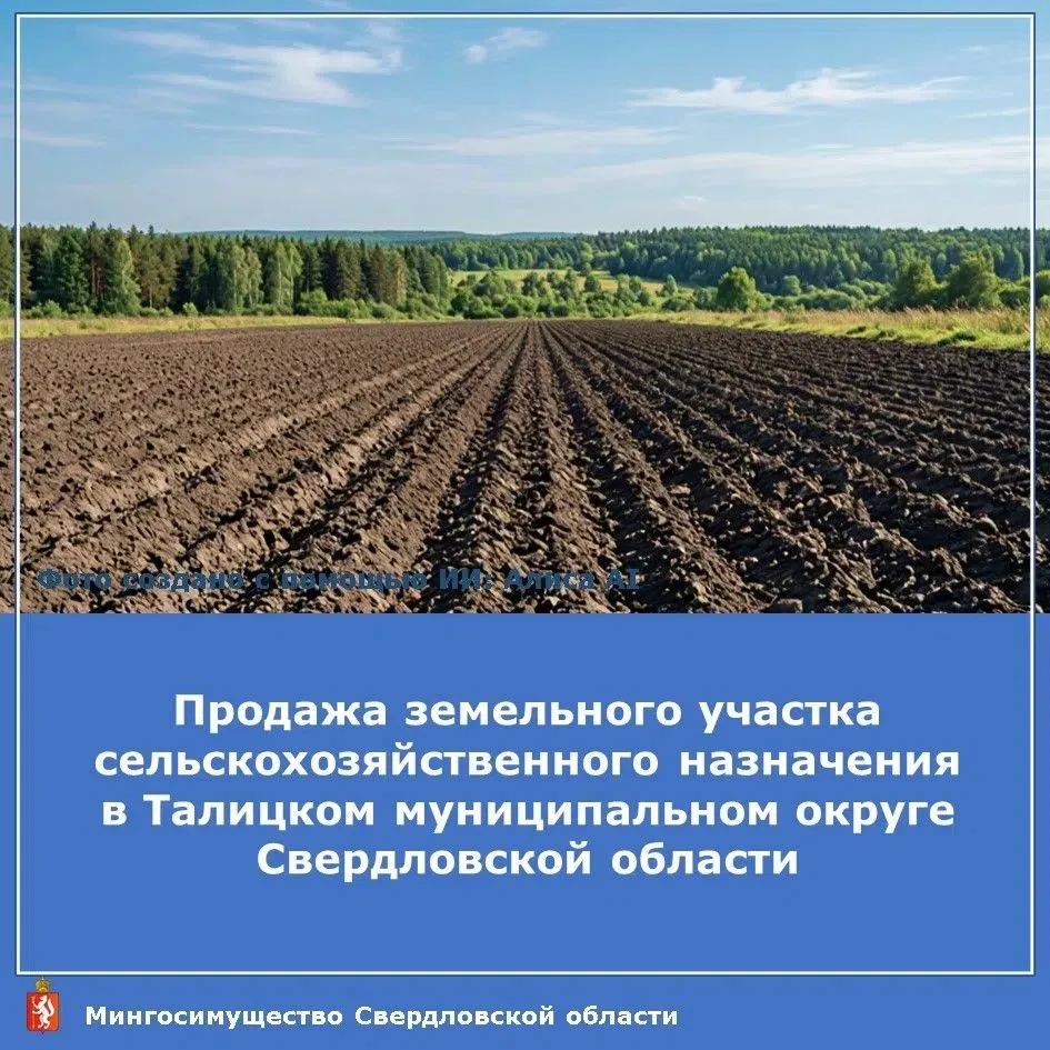 🚜 Продаётся земельный участок в Талицком муниципальном округе для агробизнеса!