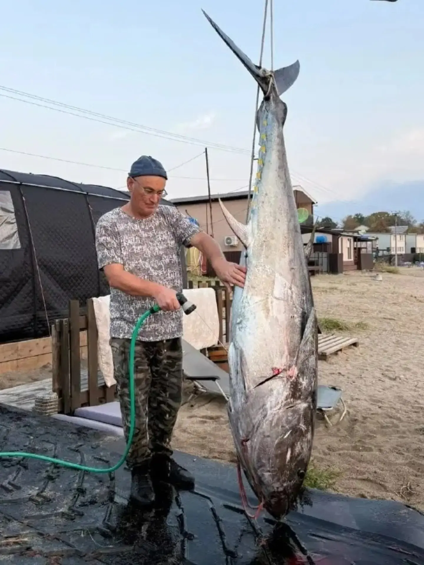 🐟 РЕКОРДНЫЙ УЛОВ В ПРИМОРЬЕ! ТУНЕЦ ДЛИНОЙ 226 САНТИМЕТРОВ!