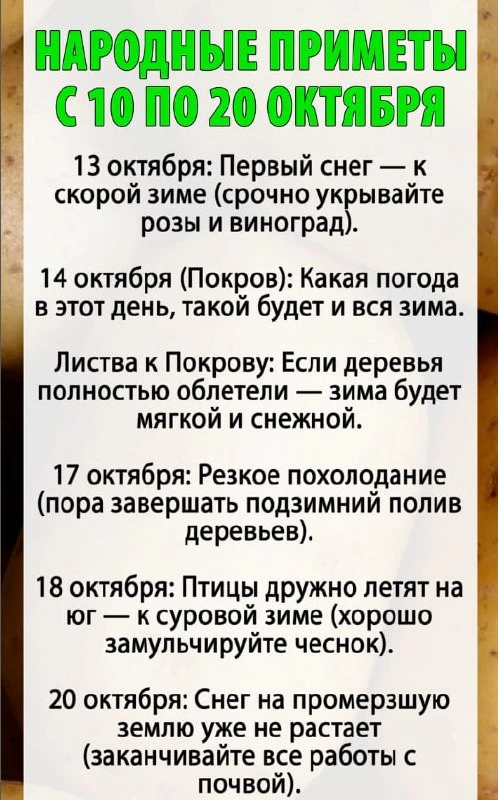 Народные приметы с 10 по 20 октября 😉