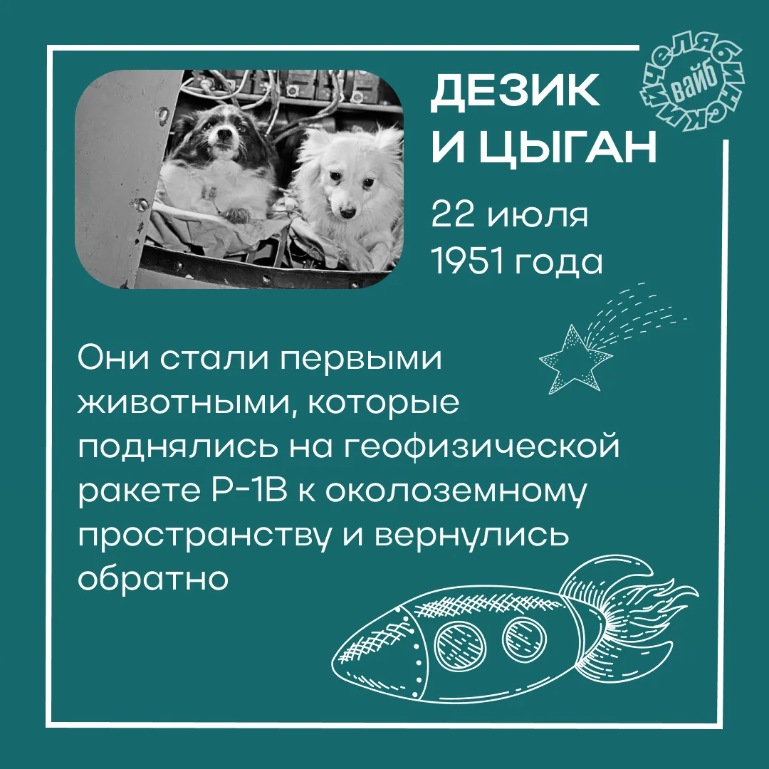 🚀 Четвероногие герои космоса