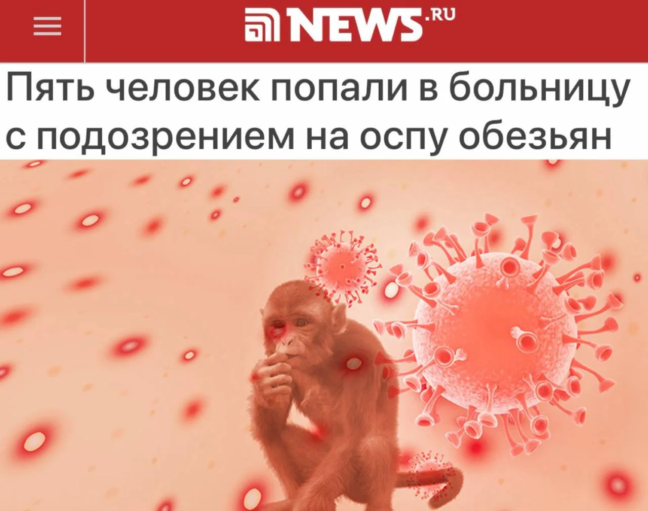 «Пять человек попали в больницу с подозрением на оспу обезьян»: Оспа обезьян дошла до П...