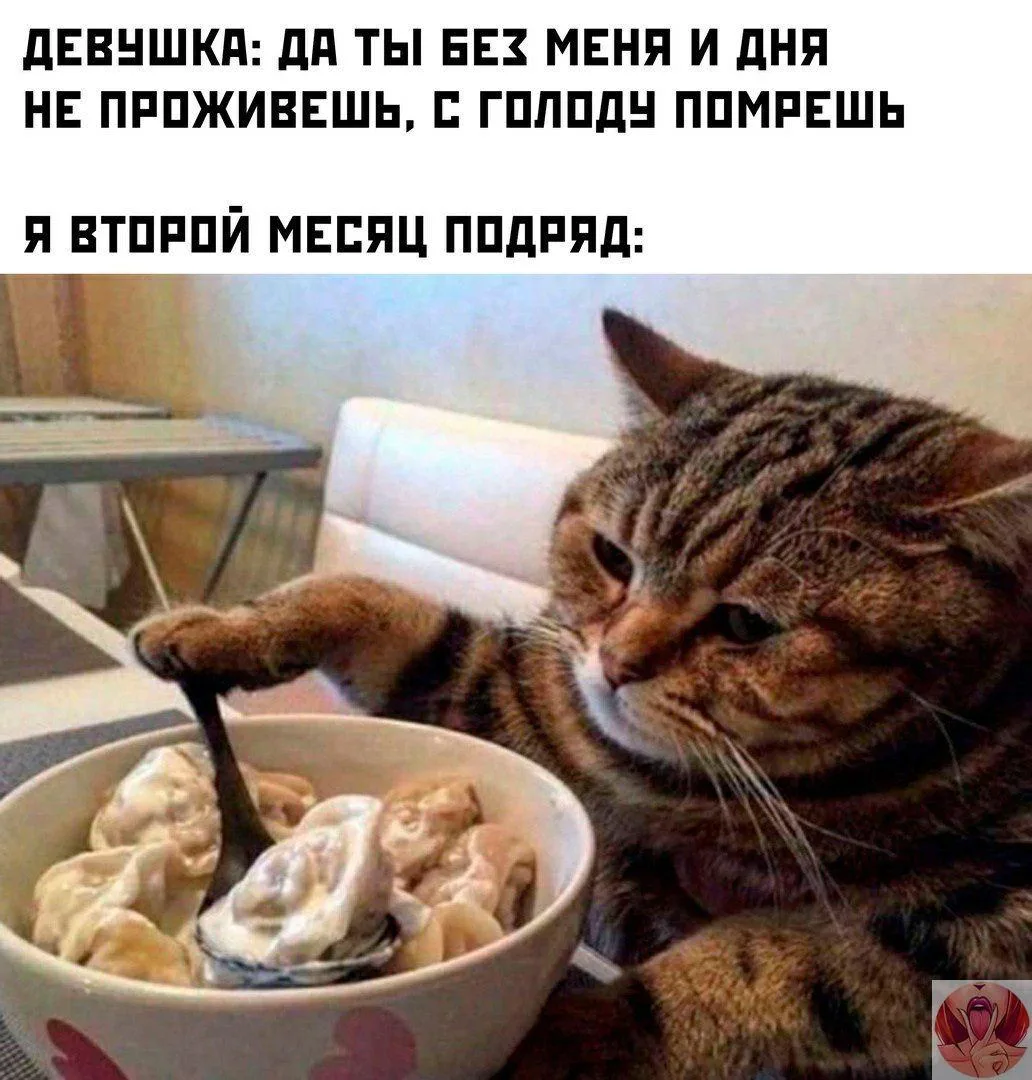 ❗️ЛУЧШИЙ КАТАЛОГ КАНАЛОВ  В MAX ❗️