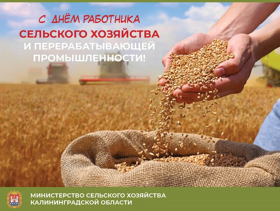 🥁🎉  Дорогие коллеги, друзья!