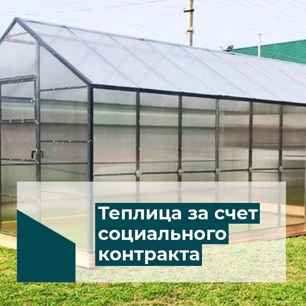 🌿 Социальный Контракт: Ваш ключ к успеху круглый год!