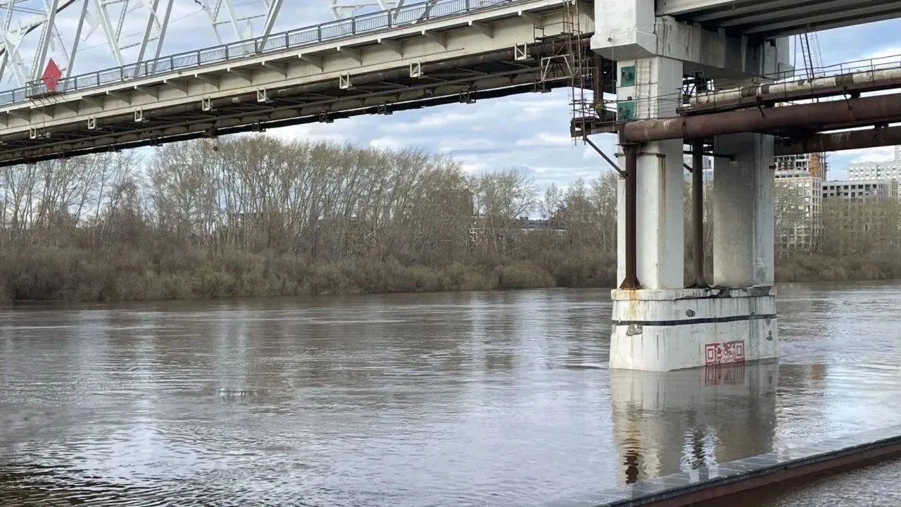 🌊 Тура снова начала расти