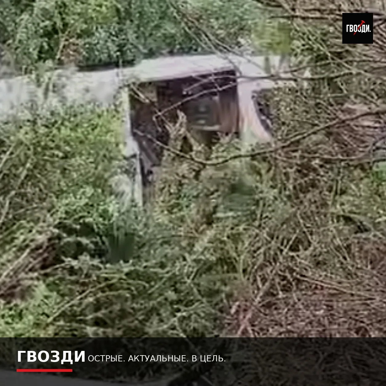 Ливень выбросил микроавтобус с трассы в Турции: ранены 17 человек