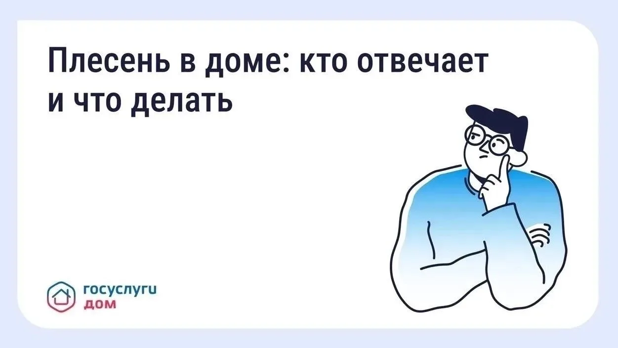 Плесень в квартире: как действовать собственнику