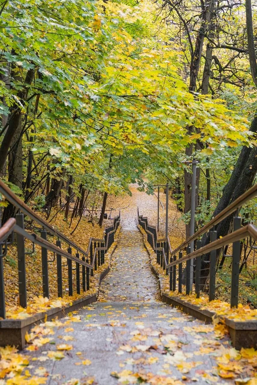 Потрясающая осенняя прогулка по дорожкам и тропинкам Воробьёвых гор ❤
