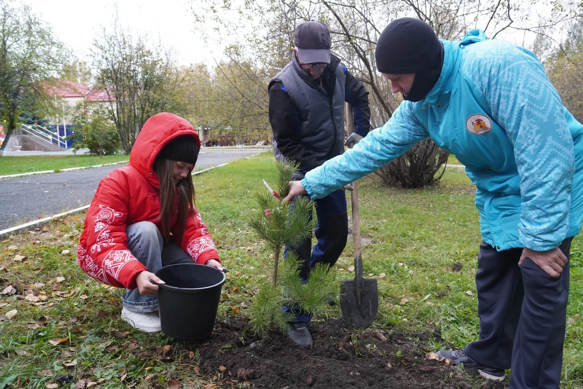 🌲 «Деревья дружбы»: вместе создаём будущее