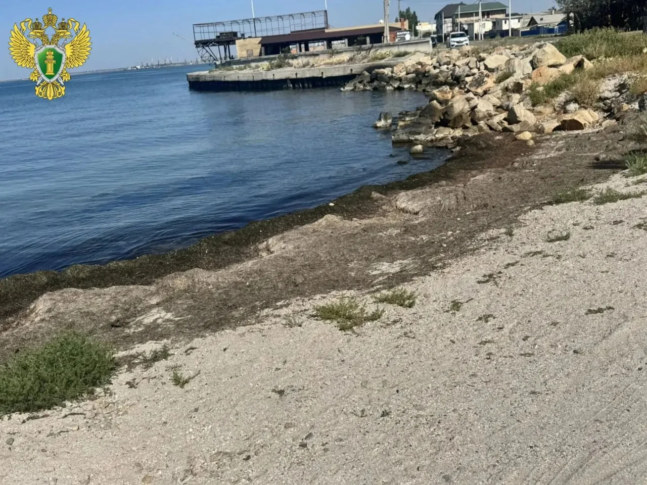 На прибрежной полосе Слободки Бердянска ликвидирована свалка гниющих водорослей