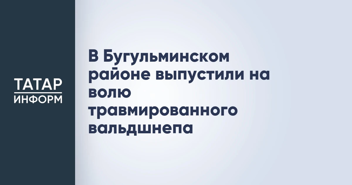 В Бугульминском районе выпустили на волю травмированного вальдшнепа