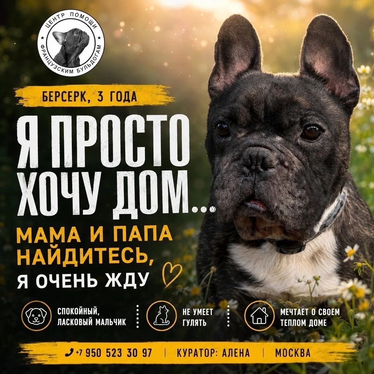 🚨 SOS! БЕРСЕРК ИЩЕТ ДОМ ИЛИ ПЕРЕДЕРЖКУ ДО 17 ЧИСЛА! 🚨