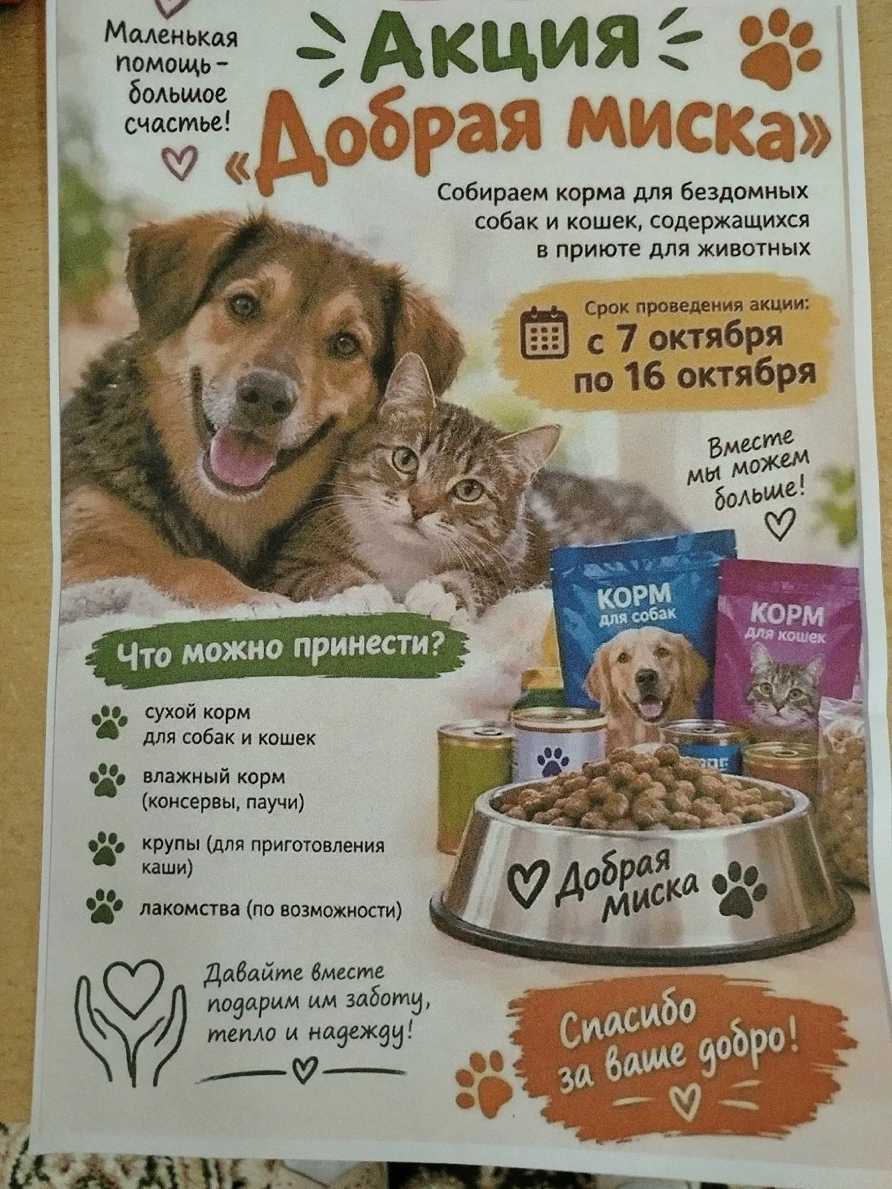 В нашем детском саду проходит акция "Добрая миска". Это  возможность помочь бездомным ж...