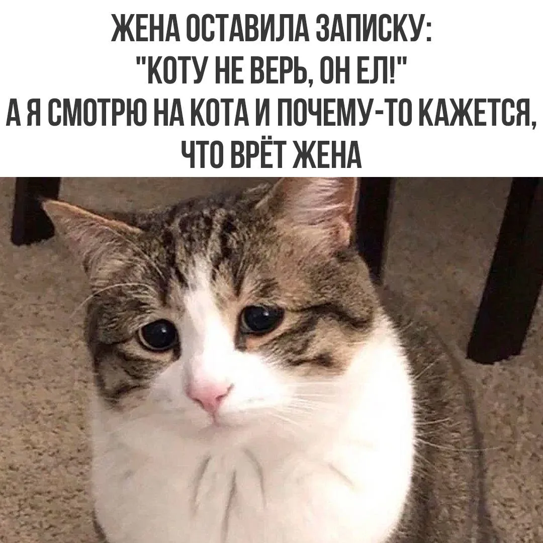 Ну и кому верить?! 😂