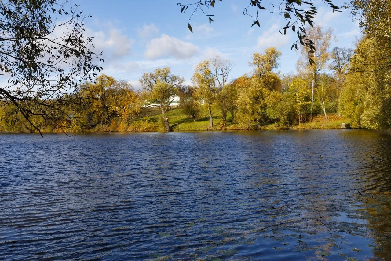 Осень в Ясной Поляне🍂листопад