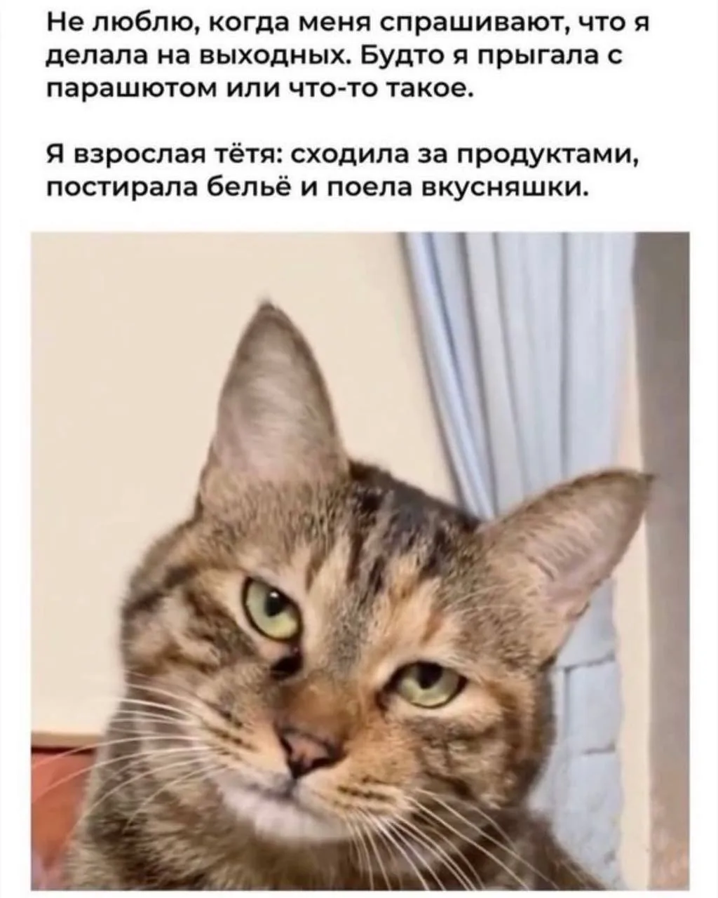 #мемыдня