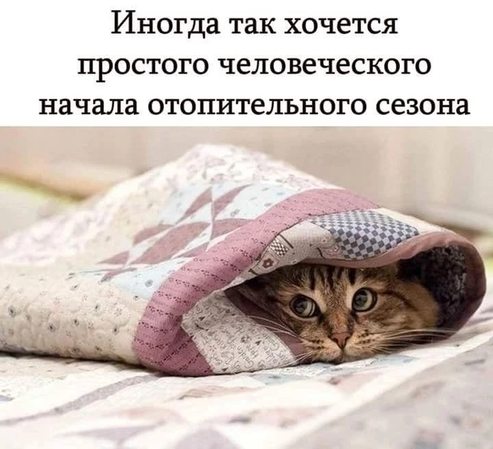 Ждёте?